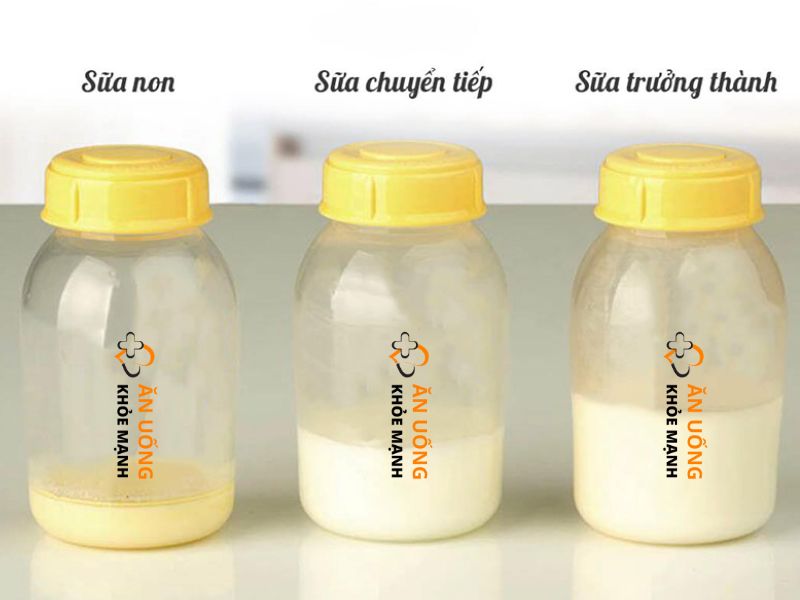 Giá trị dinh dưỡng của sữa mẹ theo từng giai đoạn