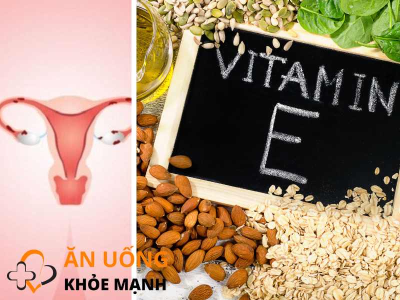 Vitamin E giúp làm dày niêm mạc tử cung